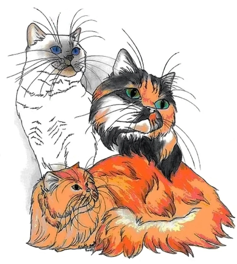 banner limbracat